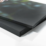 Ocelot Eyes Of Predation 71