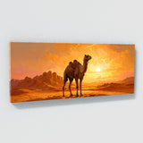 Camel Desert Majesty Sunset 1