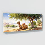 Camel Restful Desert Scene 24