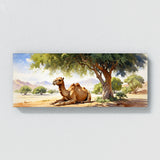 Camel Restful Desert Scene 24