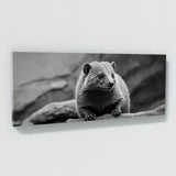 Mongoose Monochrome Marvel 92