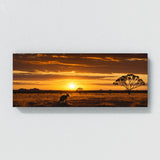 Wallaby Outback Sunset 63