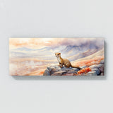 Weasel Misty Highland Hills 26