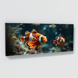 Clownfish Dreamy Symphony 83