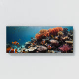 Clownfish Vibrant Symphony 95