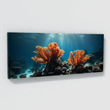 Coral Underwater Drama 75