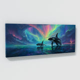 Orca Auroras Dance 9