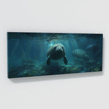 Manatee Enigmatic Ocean Depths 17