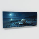 Clam Moonlit Shell 20