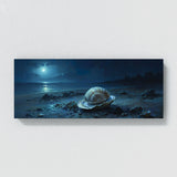 Clam Moonlit Shell 20