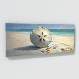 Sand Dollar Serenity 1