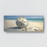 Sand Dollar Serenity 1