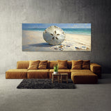 Sand Dollar Serenity 1