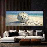 Sand Dollar Serenity 1