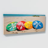 Sand Dollar Vibrant Coastal Pop 89