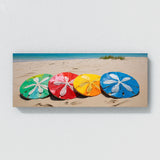 Sand Dollar Vibrant Coastal Pop 89