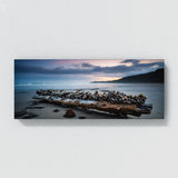 Barnacle Twilight Driftwood 72