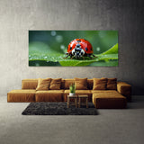 Ladybug Leafy Raindrop Voyage 73