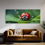 Ladybug Leafy Raindrop Voyage 73