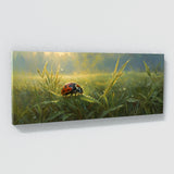 Ladybug Morning Dew Serenity 5