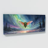 Cicada Aurora Symphony 40