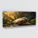 Cicada Golden Glow 77