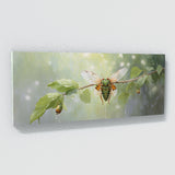 Cicada Serene Drizzle 36