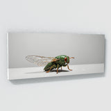 Cicada Silhouette 85