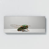 Cicada Silhouette 85