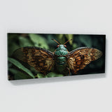 Cicada Winged Intricacy 61