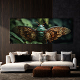 Cicada Winged Intricacy 61