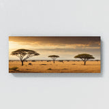 Landscape Sunlit Savannah Scene 76