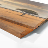 Landscape Sunlit Savannah Scene 76