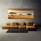 Landscape Sunlit Savannah Scene 76