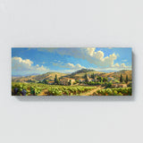 Landscape Sunlit Vineyard Hills 16