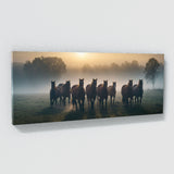 Equine Enchanted Dawn 72