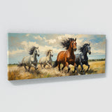 Equine Galloping Freedom 43