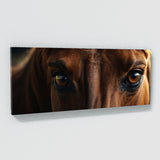 Equine Soulful Gaze 75