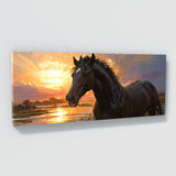 Equine Sunrise Majesty 2