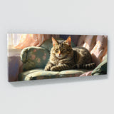 Cat Sunlit Slumber 26