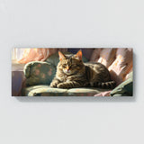 Cat Sunlit Slumber 26