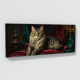 Cat Velvet Majesty 15