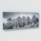 Winter Snowy Tops 69