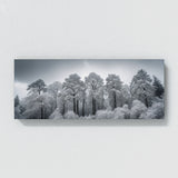 Winter Snowy Tops 69