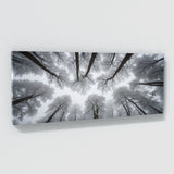 Winter Snowy Tops 70