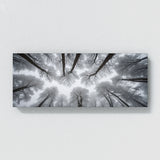 Winter Snowy Tops 70