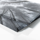 Winter Snowy Tops 70