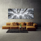 Winter Snowy Tops 70