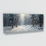 Winter Snowy Woodland Trail 13