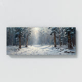 Winter Snowy Woodland Trail 13